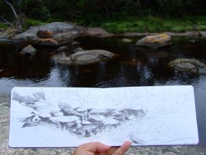 waychinicup np creek sketch