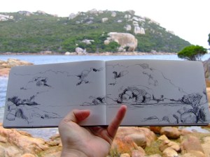 waychinicup np inlet sketch