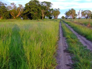 DAY 346 01.02.2013 elizabeth martin